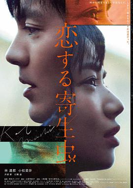 龙猫 电影 1988 宫崎骏